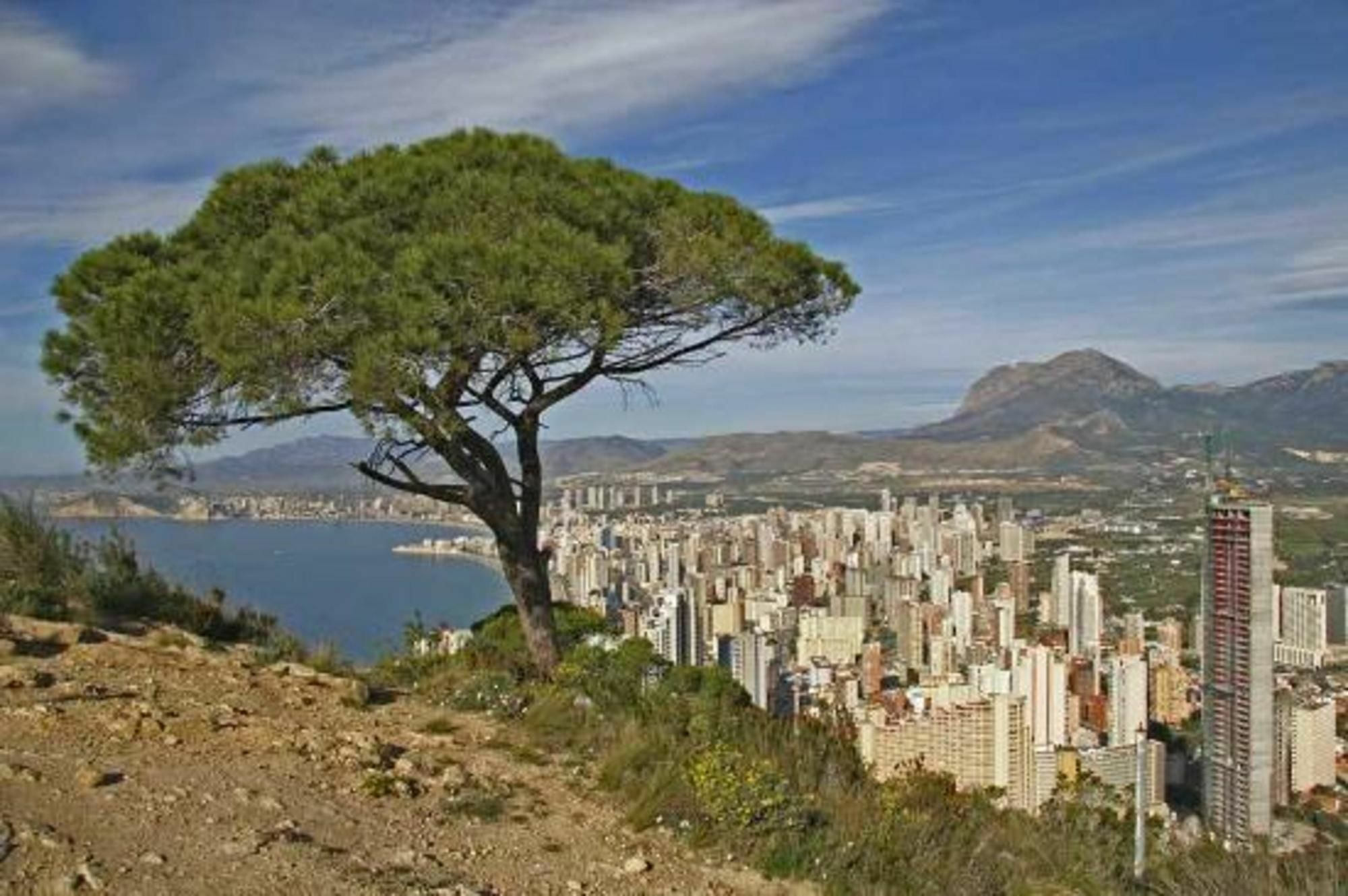 Apartment In Benidorm, Alicante 103111 By Mo Benidorm